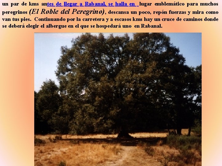 un par de kms antes de llegar a Rabanal, se halla en lugar emblemático