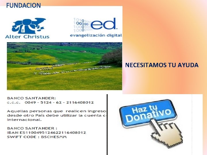 FUNDACION NECESITAMOS TU AYUDA 