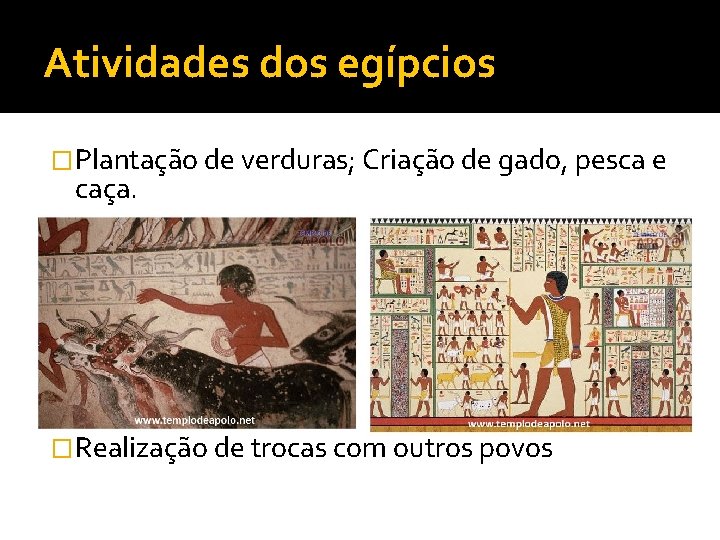 Atividades dos egípcios �Plantação de verduras; Criação de gado, pesca e caça. �Realização de