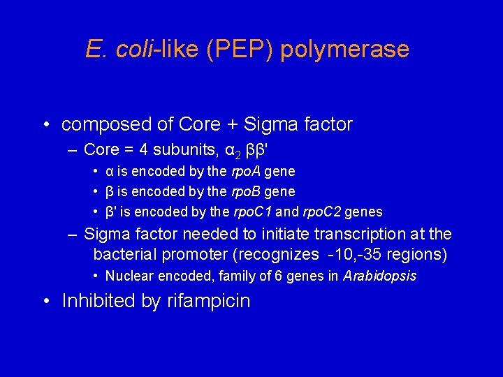 E. coli-like (PEP) polymerase • composed of Core + Sigma factor – Core =