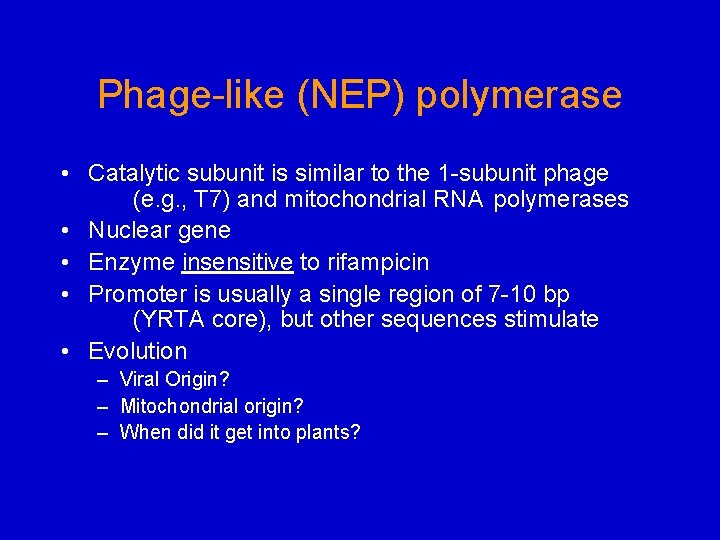 Phage-like (NEP) polymerase • Catalytic subunit is similar to the 1 -subunit phage (e.