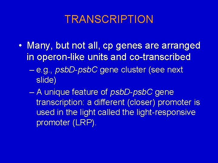 TRANSCRIPTION • Many, but not all, cp genes are arranged in operon-like units and