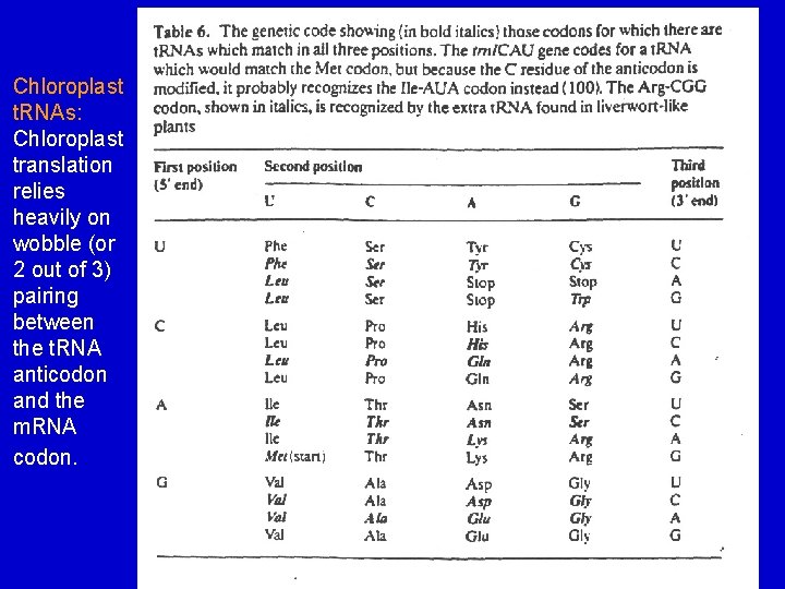 Chloroplast t. RNAs: Chloroplast translation relies heavily on wobble (or 2 out of 3)