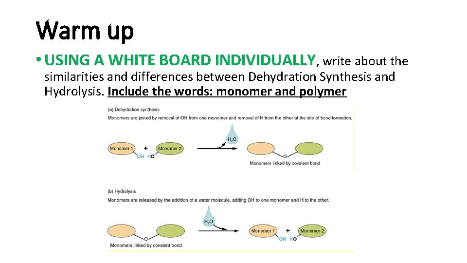 Warm up • USING A WHITE BOARD INDIVIDUALLY, write about the similarities and differences