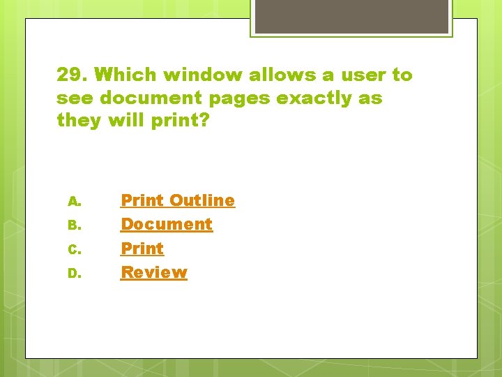29. Which window allows a user to see document pages exactly as they will