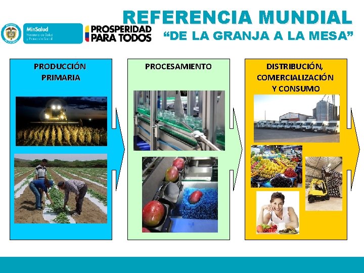 REFERENCIA MUNDIAL “DE LA GRANJA A LA MESA” PRODUCCIÓN PRIMARIA PROCESAMIENTO DISTRIBUCIÓN, COMERCIALIZACIÓN Y