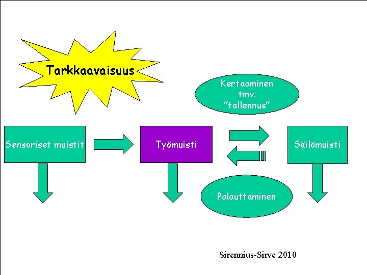 Tarkkaavaisuus Sensoriset muistit Kertaaminen tmv. ”tallennus” Työmuisti Säilömuisti Palauttaminen (Atkinson & Shiffrin, 1968) Invalidiliiton