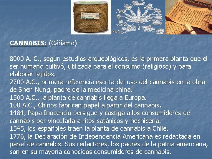 CANNABIS: (Cáñamo) 8000 A. C. , según estudios arqueológicos, es la primera planta que