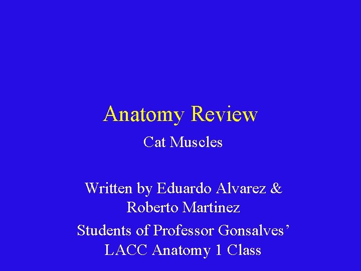 Anatomy Review Cat Muscles Written by Eduardo Alvarez & Roberto Martinez Students of Professor