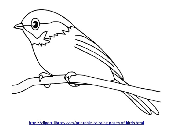http: //clipart-library. com/printable-coloring-pages-of-birds. html 