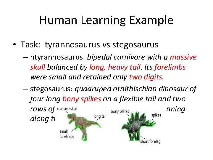 Human Learning Example • Task: tyrannosaurus vs stegosaurus – htyrannosaurus: bipedal carnivore with a