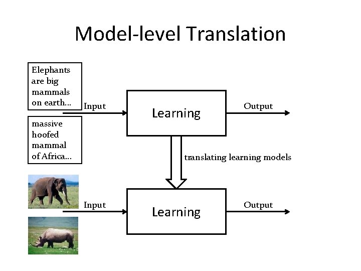 Model-level Translation Elephants are big mammals on earth. . . Input massive hoofed mammal