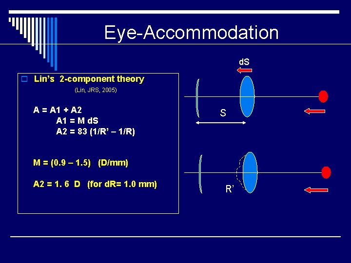 Eye-Accommodation d. S o Lin’s 2 -component theory (Lin, JRS, 2005) A = A
