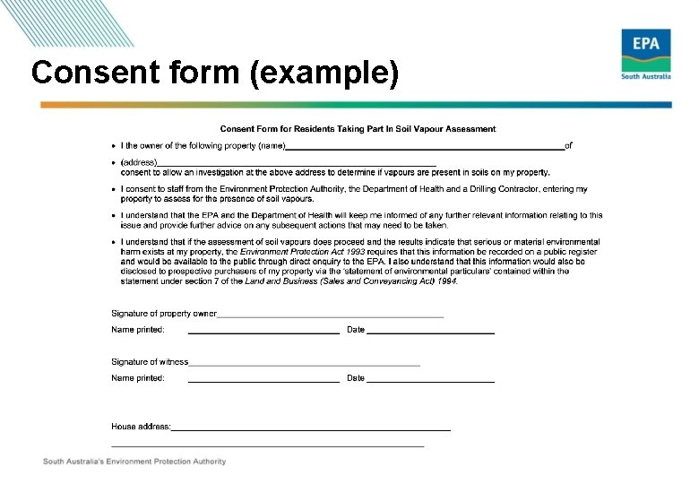 Consent form (example) 