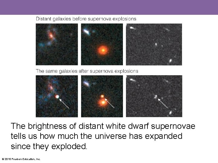 The brightness of distant white dwarf supernovae tells us how much the universe has