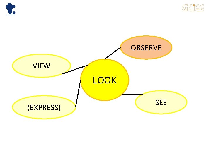 OBSERVE VIEW LOOK (EXPRESS) SEE 