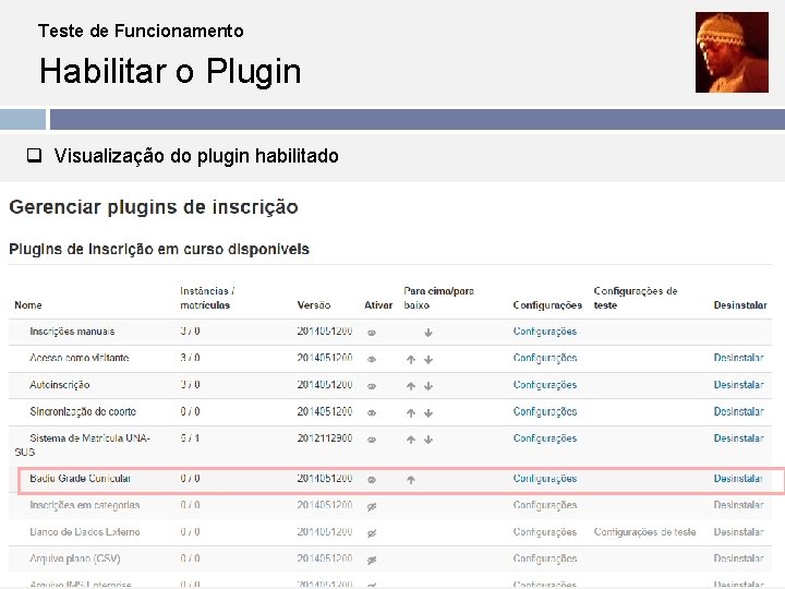 Teste de Funcionamento Habilitar o Plugin q Visualização do plugin habilitado 