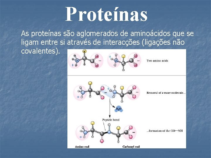 Proteínas As proteínas são aglomerados de aminoácidos que se ligam entre si através de