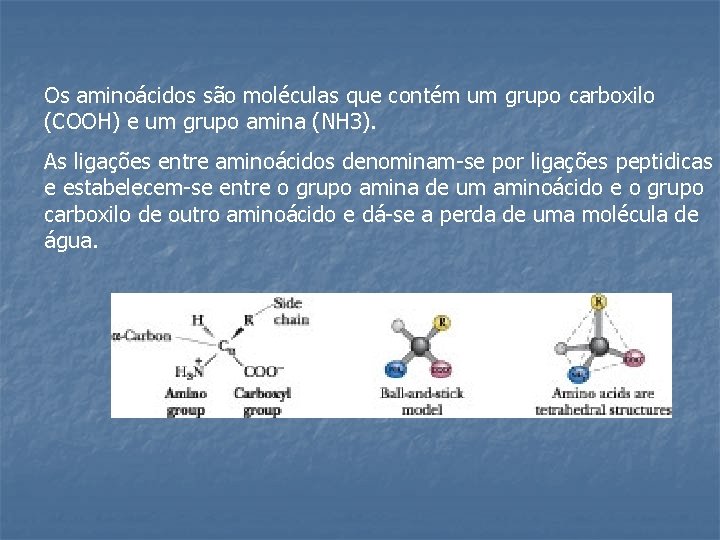 Os aminoácidos são moléculas que contém um grupo carboxilo (COOH) e um grupo amina