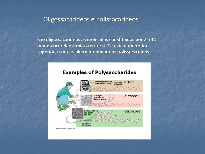 Oligossacarídeos e polissacarídeos São oligossacarídeos as moléculas constituidas por 2 a 10 monossacarídeos unidos