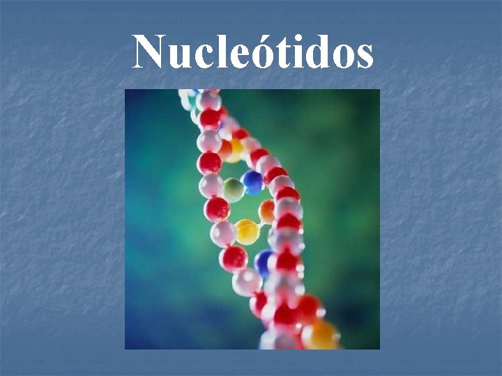 Nucleótidos 