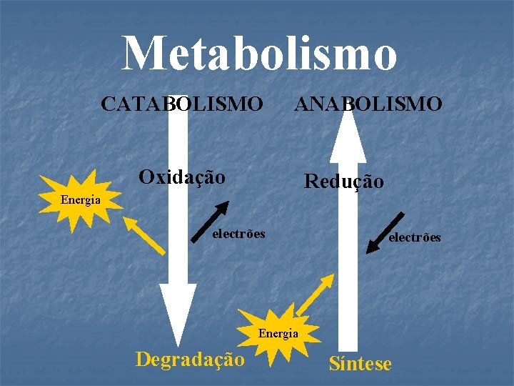 Metabolismo CATABOLISMO ANABOLISMO Oxidação Redução Energia electrões Energia Degradação Síntese 