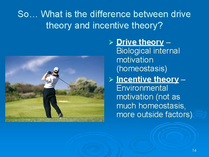 So… What is the difference between drive theory and incentive theory? Drive theory –