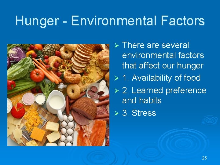 Hunger - Environmental Factors There are several environmental factors that affect our hunger Ø