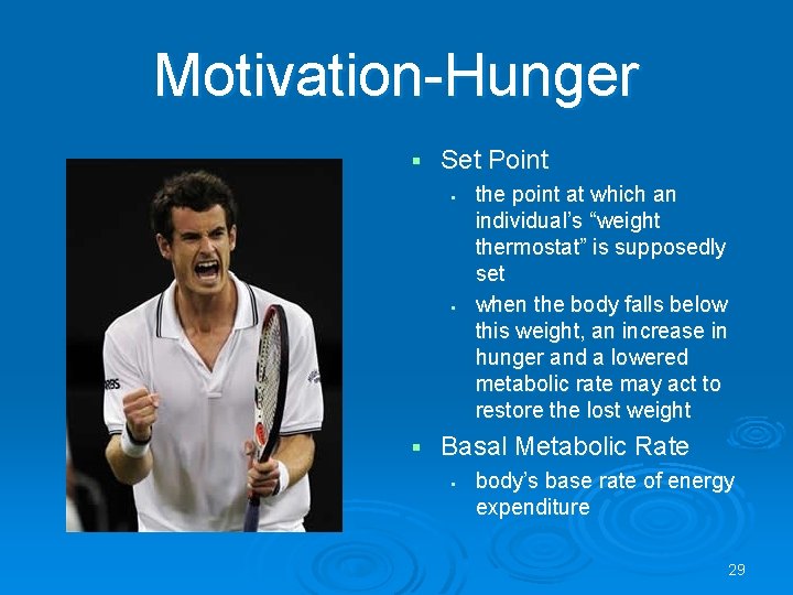 Motivation-Hunger § Set Point § § § the point at which an individual’s “weight