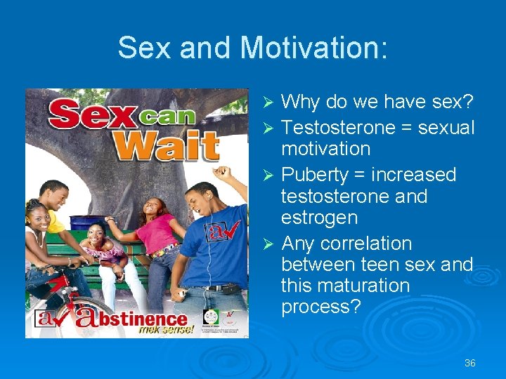 Sex and Motivation: Why do we have sex? Ø Testosterone = sexual motivation Ø