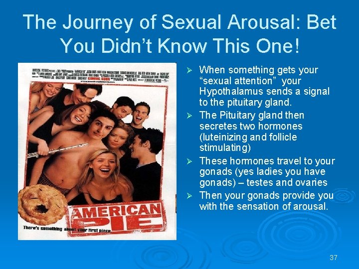 The Journey of Sexual Arousal: Bet You Didn’t Know This One! When something gets