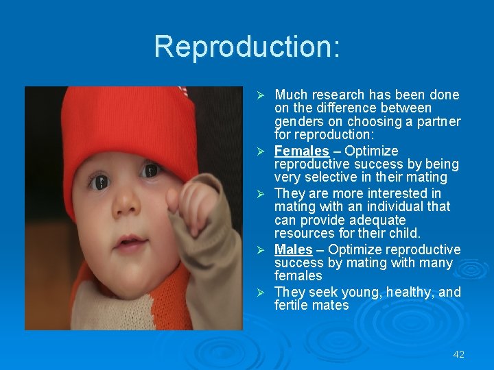 Reproduction: Ø Ø Ø Much research has been done on the difference between genders