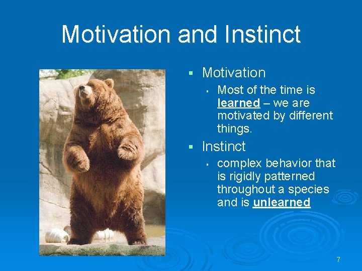 Motivation and Instinct § Motivation § § Most of the time is learned –
