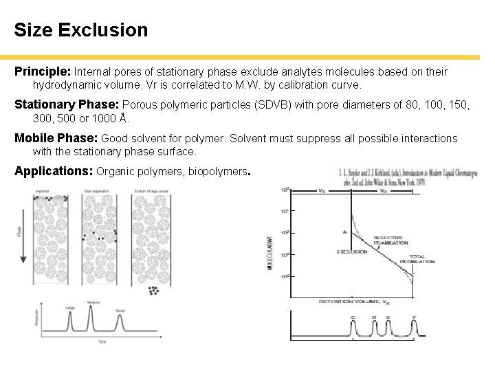 Size Exclusion Principle: Internal pores of stationary phase exclude analytes molecules based on their