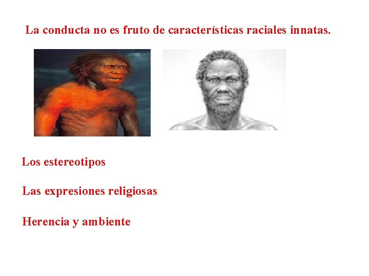 La conducta no es fruto de características raciales innatas. Los estereotipos Las expresiones religiosas