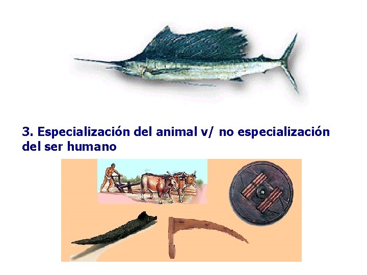 3. Especialización del animal v/ no especialización del ser humano 