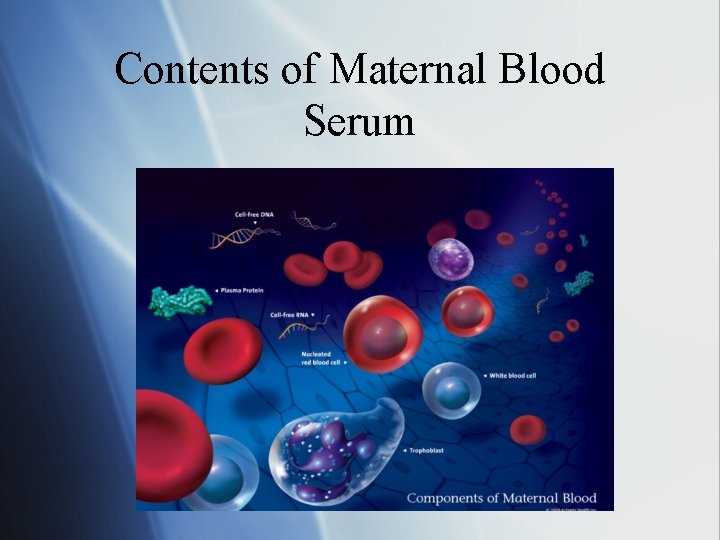 Contents of Maternal Blood Serum 