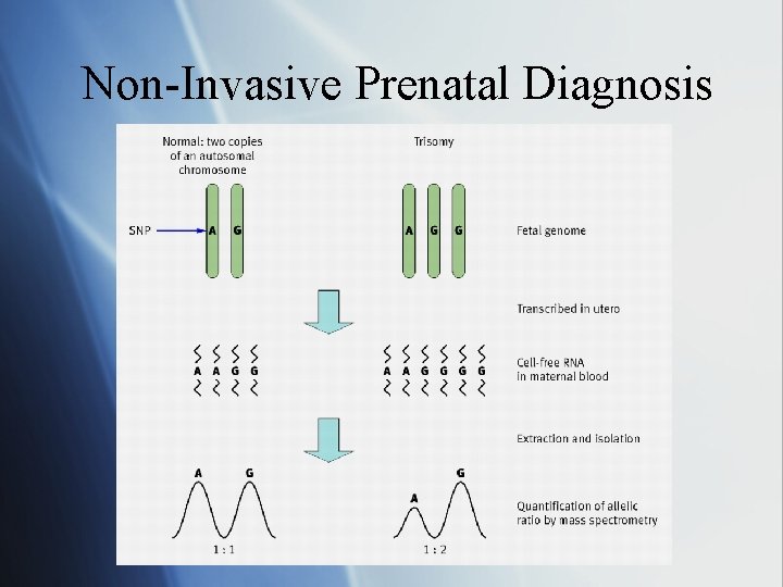 Non-Invasive Prenatal Diagnosis 