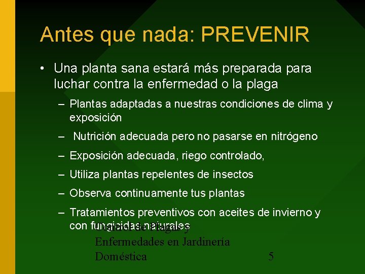 Antes que nada: PREVENIR • Una planta sana estará más preparada para luchar contra