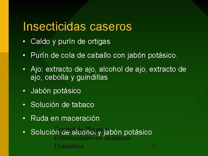 Insecticidas caseros • Caldo y purín de ortigas • Purín de cola de caballo