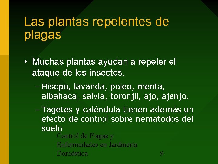 Las plantas repelentes de plagas • Muchas plantas ayudan a repeler el ataque de