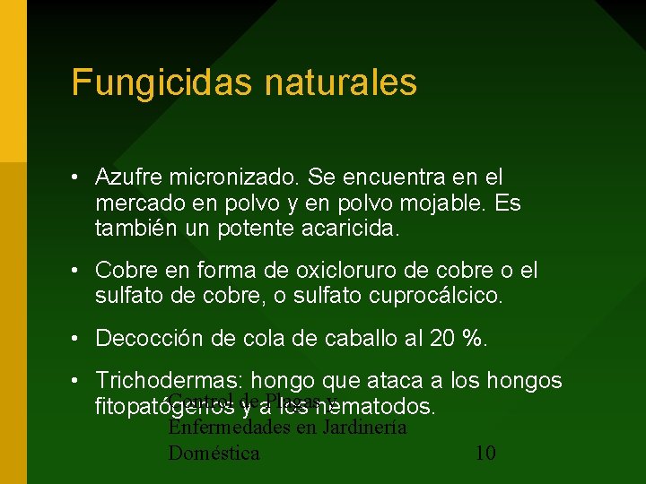 Fungicidas naturales • Azufre micronizado. Se encuentra en el mercado en polvo y en