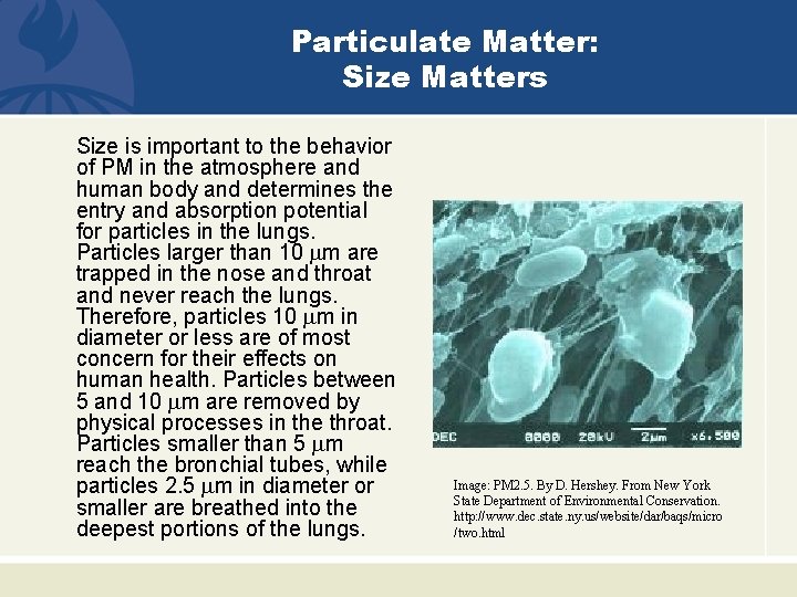 Particulate Matter: Size Matters Size is important to the behavior of PM in the