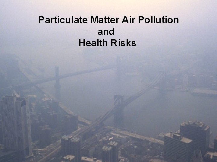 Particulate Matter Air Pollution and Health Risks 