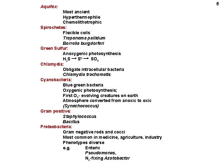 Aquifex: Most ancient Hyperthermophile Chemolithotrophic Spirochetes: Flexible coils Treponema pallidum Borrelia burgdorferi Green Sulfur: