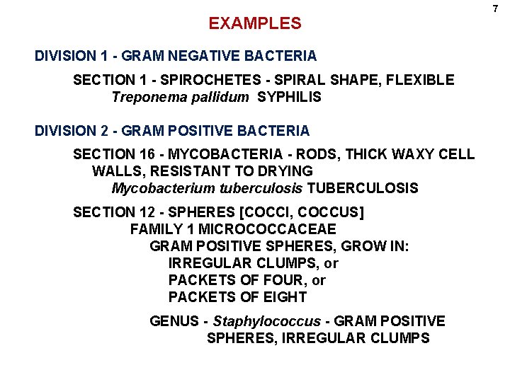 EXAMPLES DIVISION 1 - GRAM NEGATIVE BACTERIA SECTION 1 - SPIROCHETES - SPIRAL SHAPE,