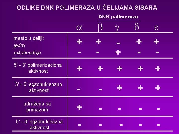 ODLIKE DNK POLIMERAZA U ĆELIJAMA SISARA DNK polimeraza a b g d e mesto