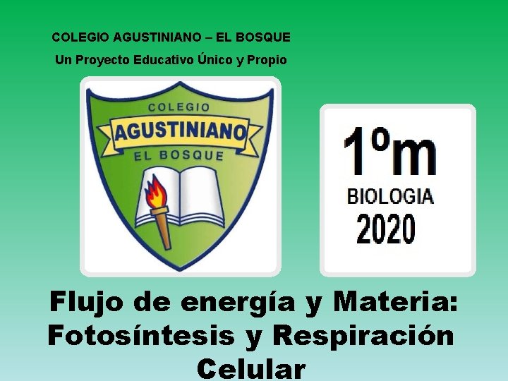 COLEGIO AGUSTINIANO – EL BOSQUE Un Proyecto Educativo Único y Propio Flujo de energía