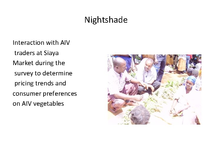 Nightshade Interaction with AIV traders at Siaya Market during the survey to determine pricing