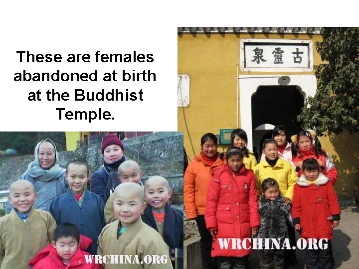 These are females abandoned at birth at the Buddhist Temple. 